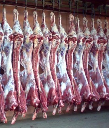 حضور موثر شرکت زنجیره تأمین در کاهش معضل گوشت کشور